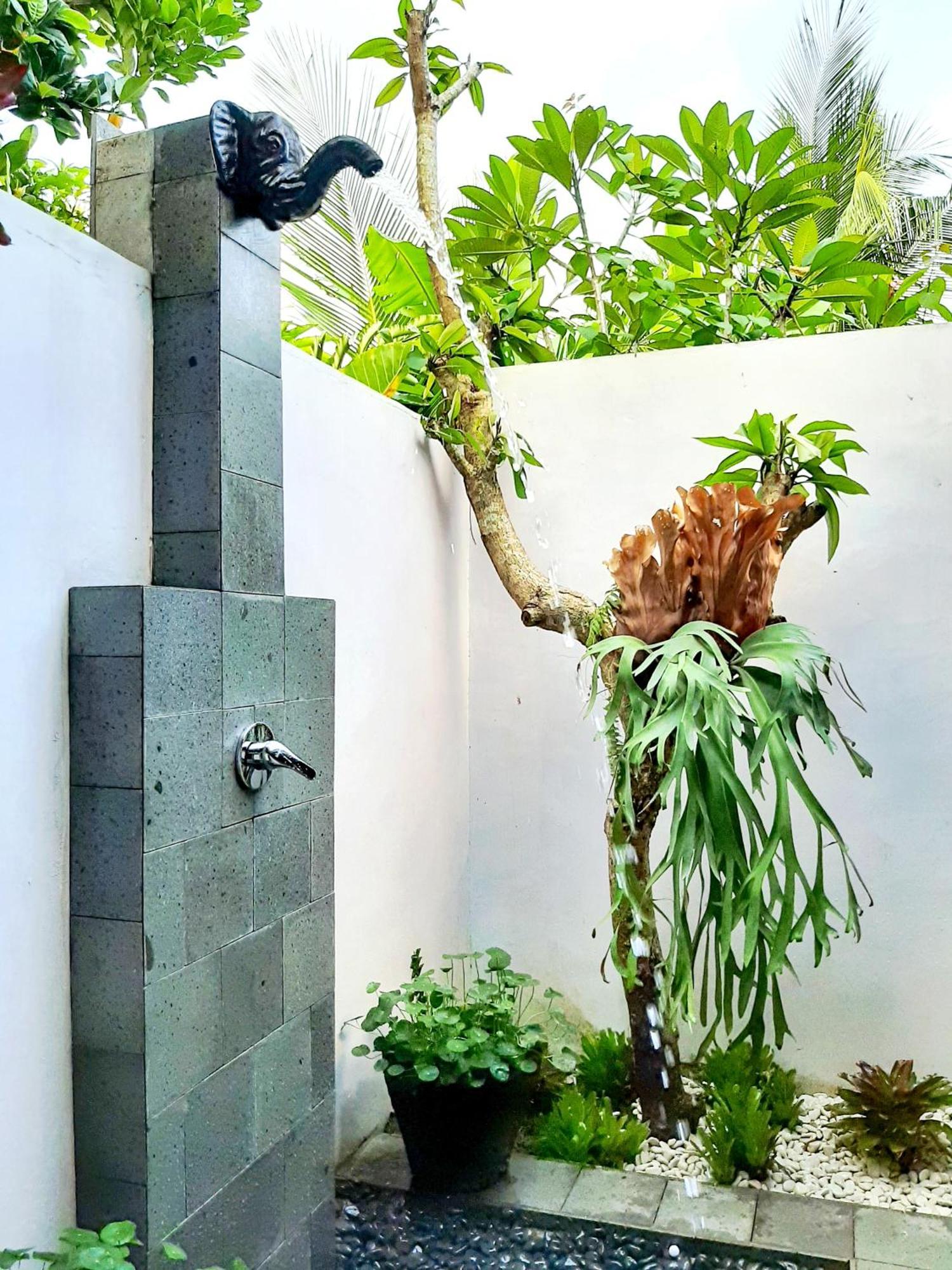 Janur Bungalow Magelang Bilik gambar