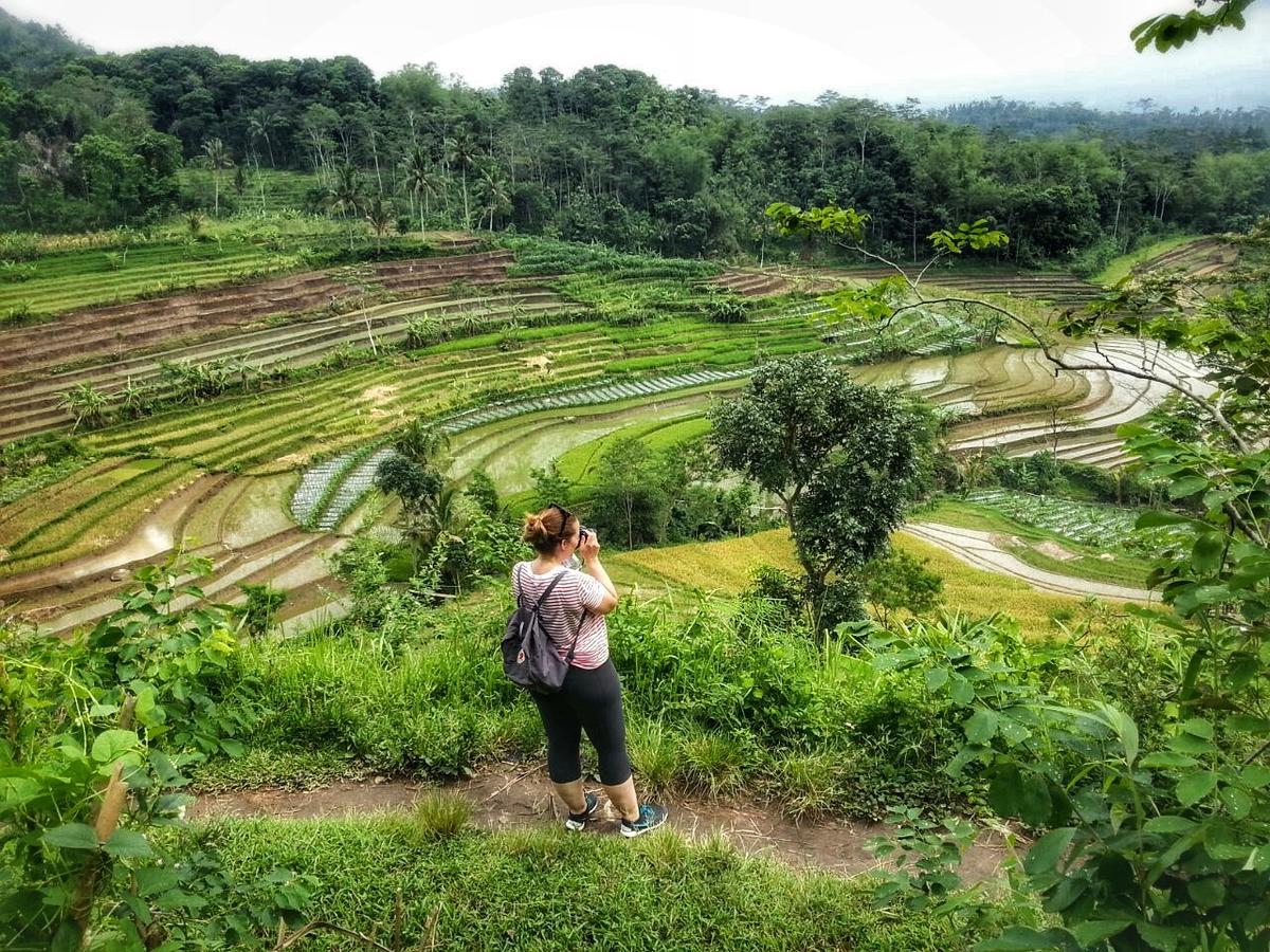 Janur Bungalow Magelang Luaran gambar